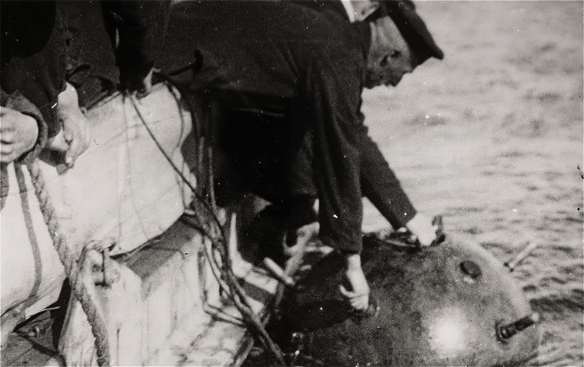 Legend Of The Fort. Tuletorn Films | Film production company | Estonia