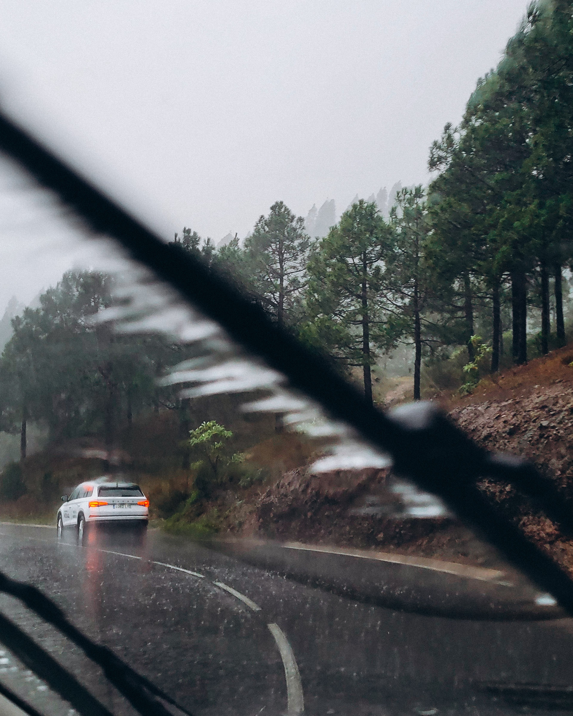 auto noma tenerife