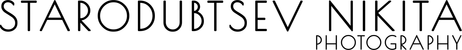 starodubtsevnikita.com
