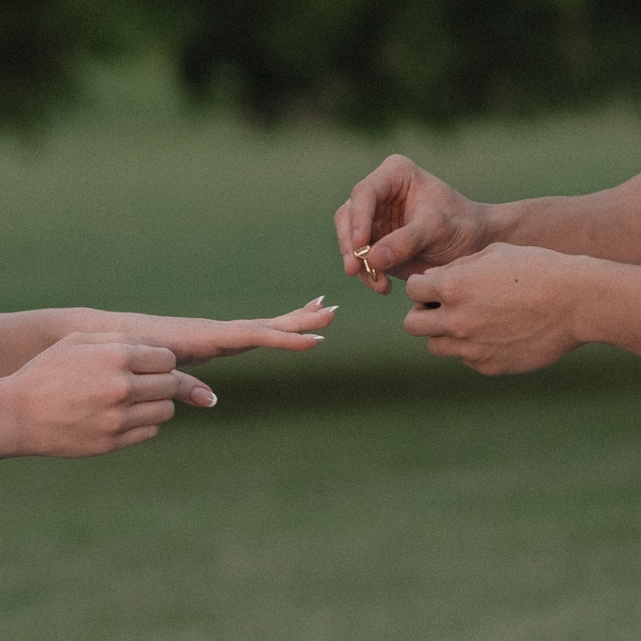 Proposal price. Kovyphoto