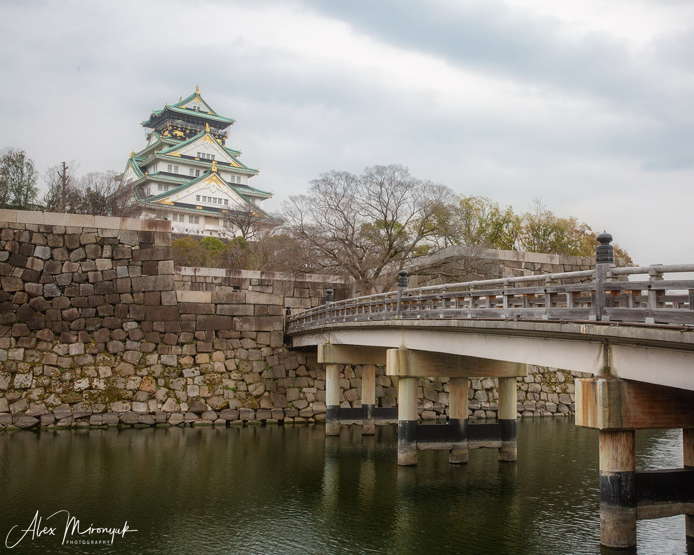 Momiji-gari Season In Japan. Pet, Senior, Landscape, portrait studio, photographer in Miami and Sou