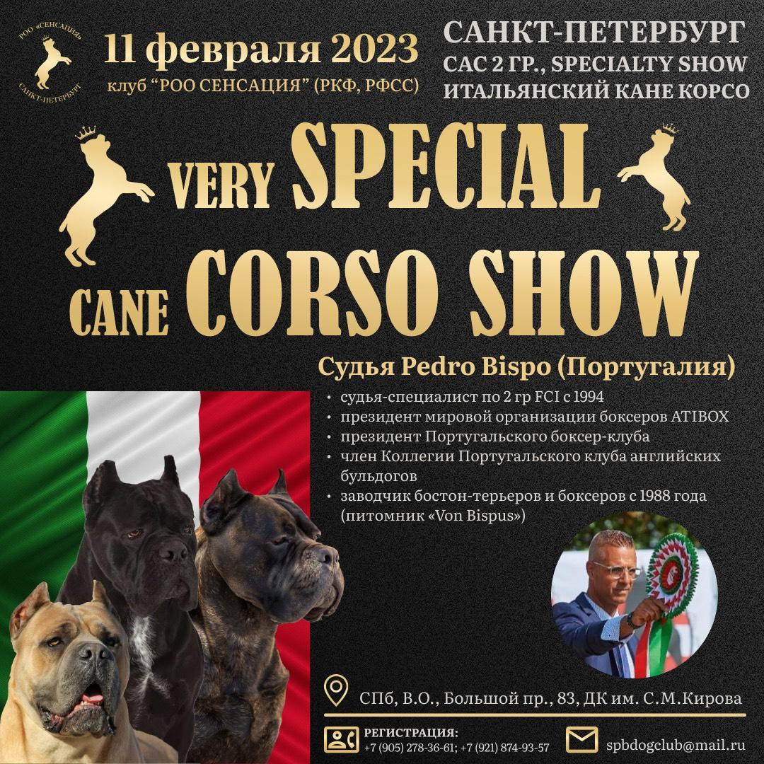 Итальянский кане корсо. Кинологический клуб РКФ РФСС СЕНСАЦИЯ