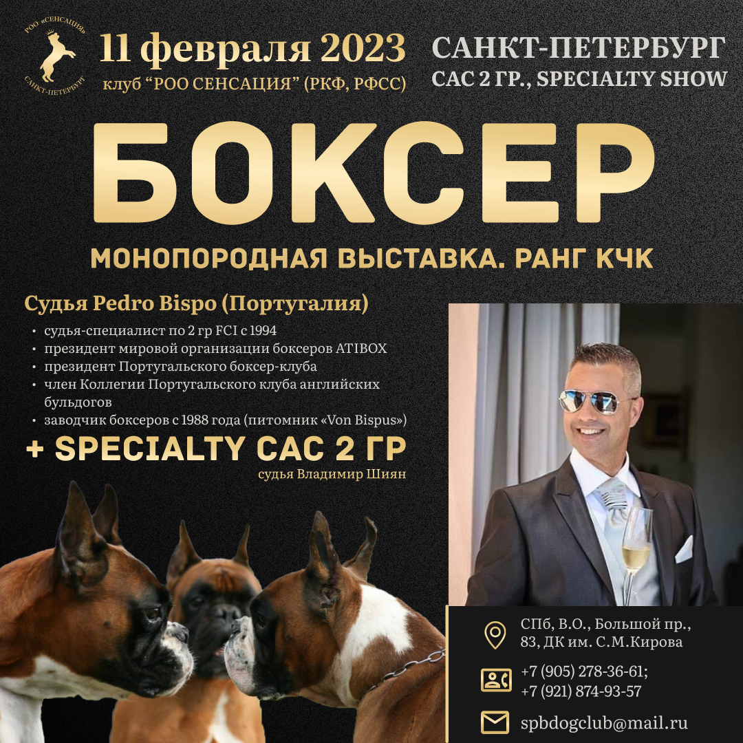 Немецкий боксёр. Кинологический клуб РКФ РФСС СЕНСАЦИЯ