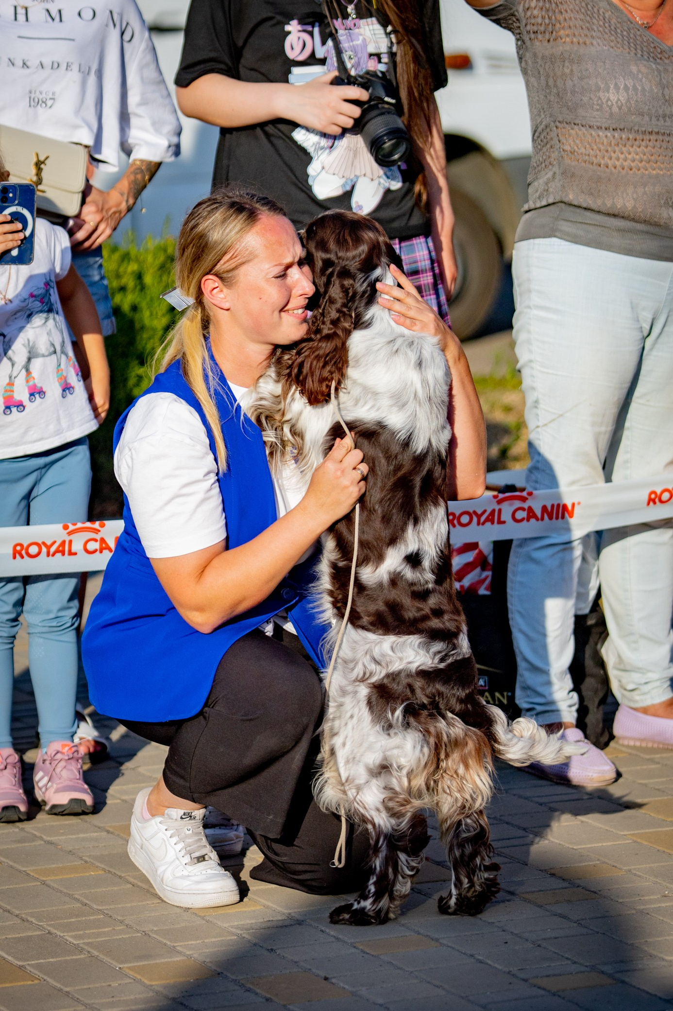 LORDSETT CASABLANKA english springer spaniel