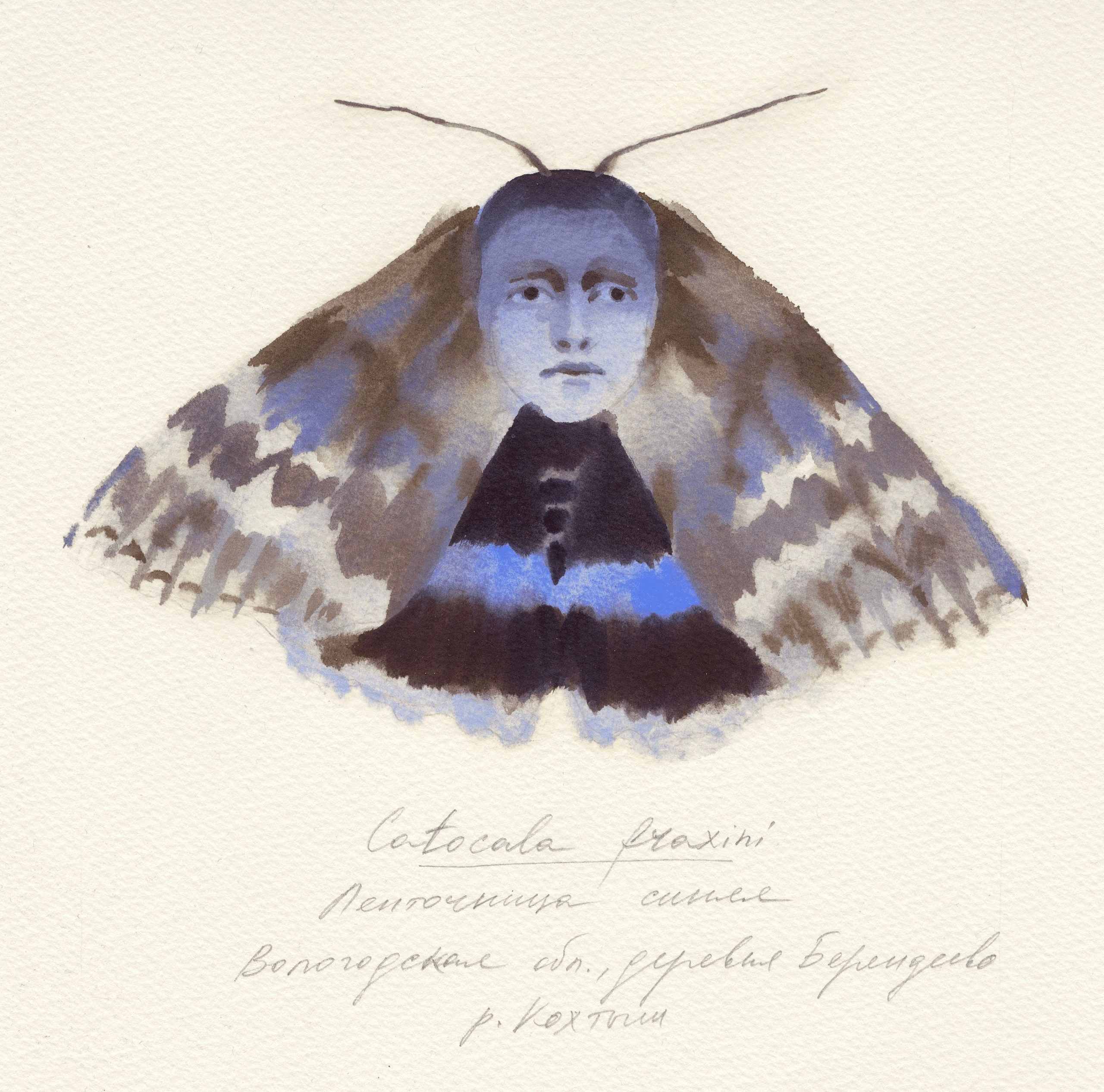 Filing System. Alina Kugush