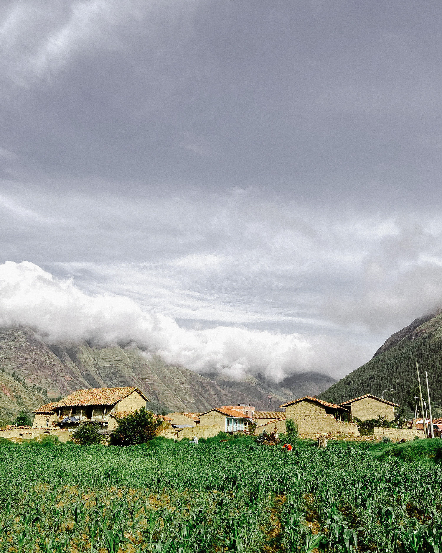 Горы и кукурузные поля в Перу. 