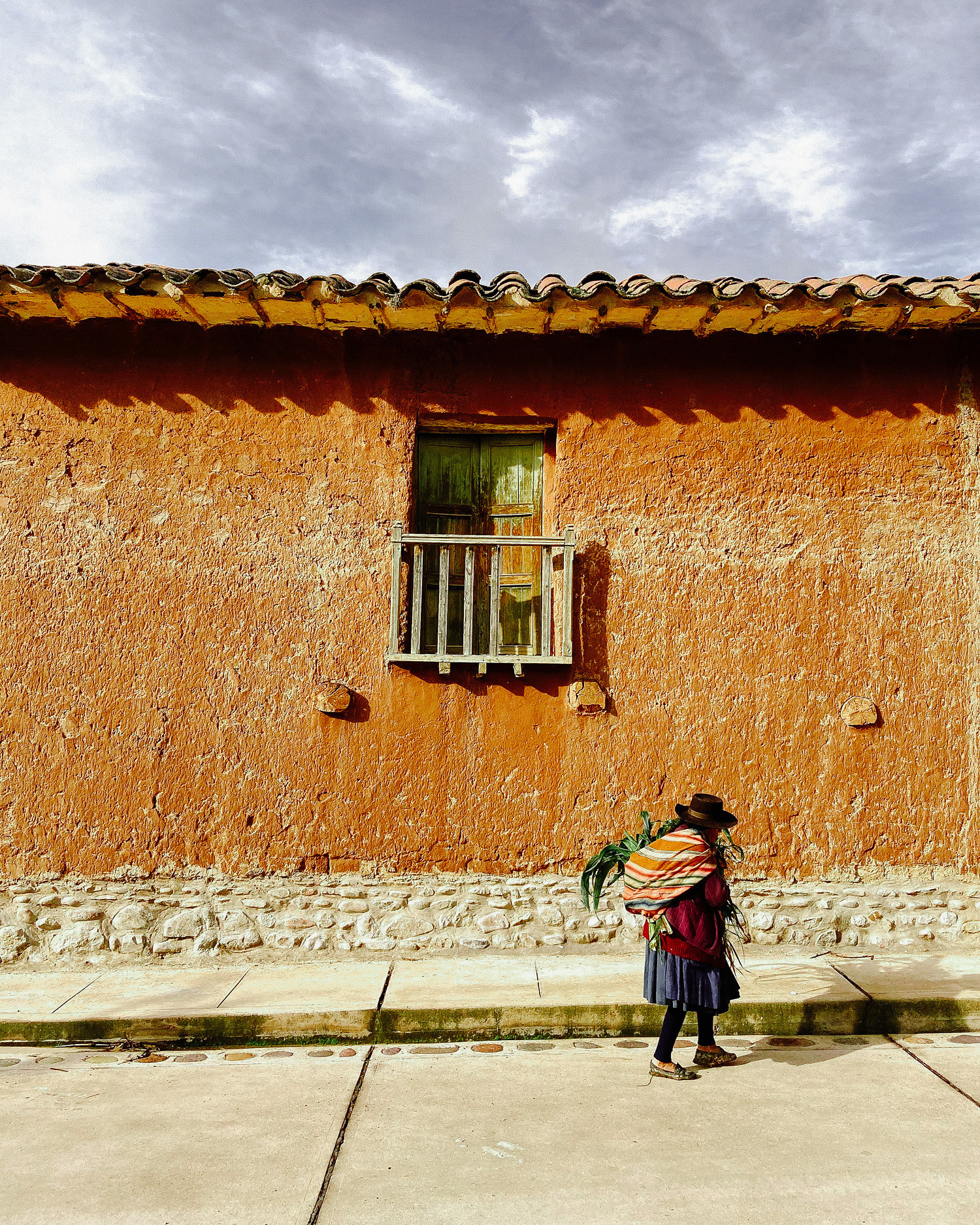 Бабушка несет хворост за спиной. 