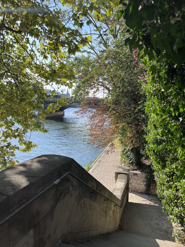 Съёмка острова Сите и Сен-Луи, набережные, левый берег