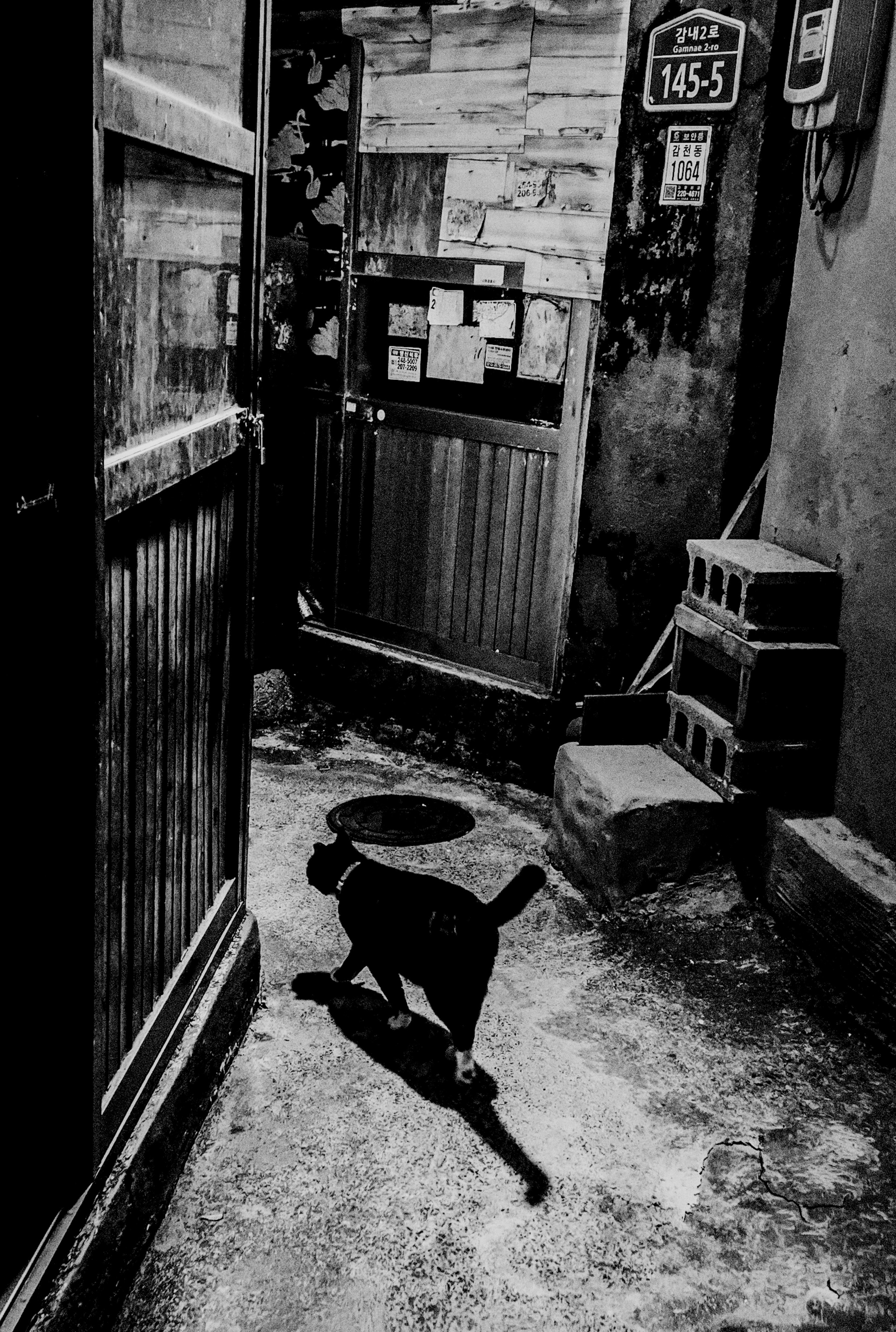 Currently on View: The Shadow Aspect at Praxis Gallery. TAEYOUNG KANG | Fine Art Photographer