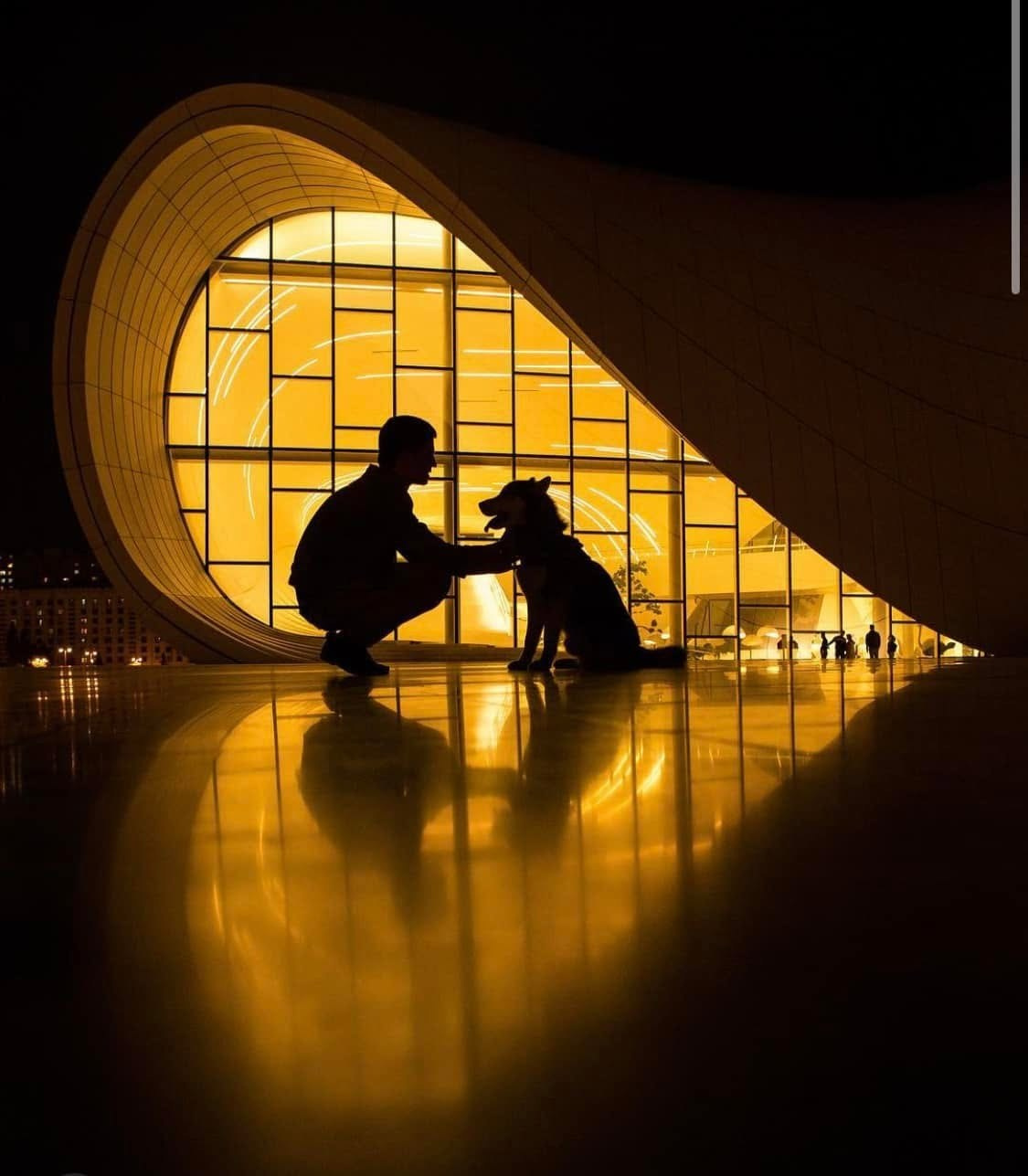 Bu Foto Necə Qlobal Auditoriyaya Çatdı?