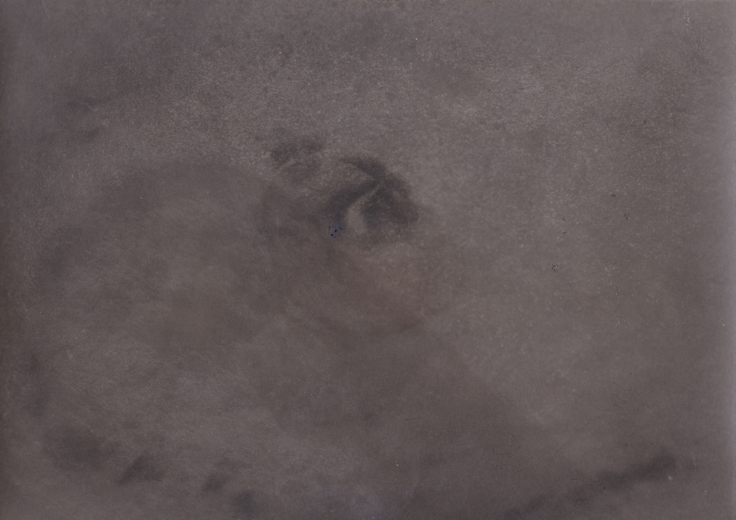 Untitled. Eugenia Ignatova multidisciplinary artist, photographer in Belgrade