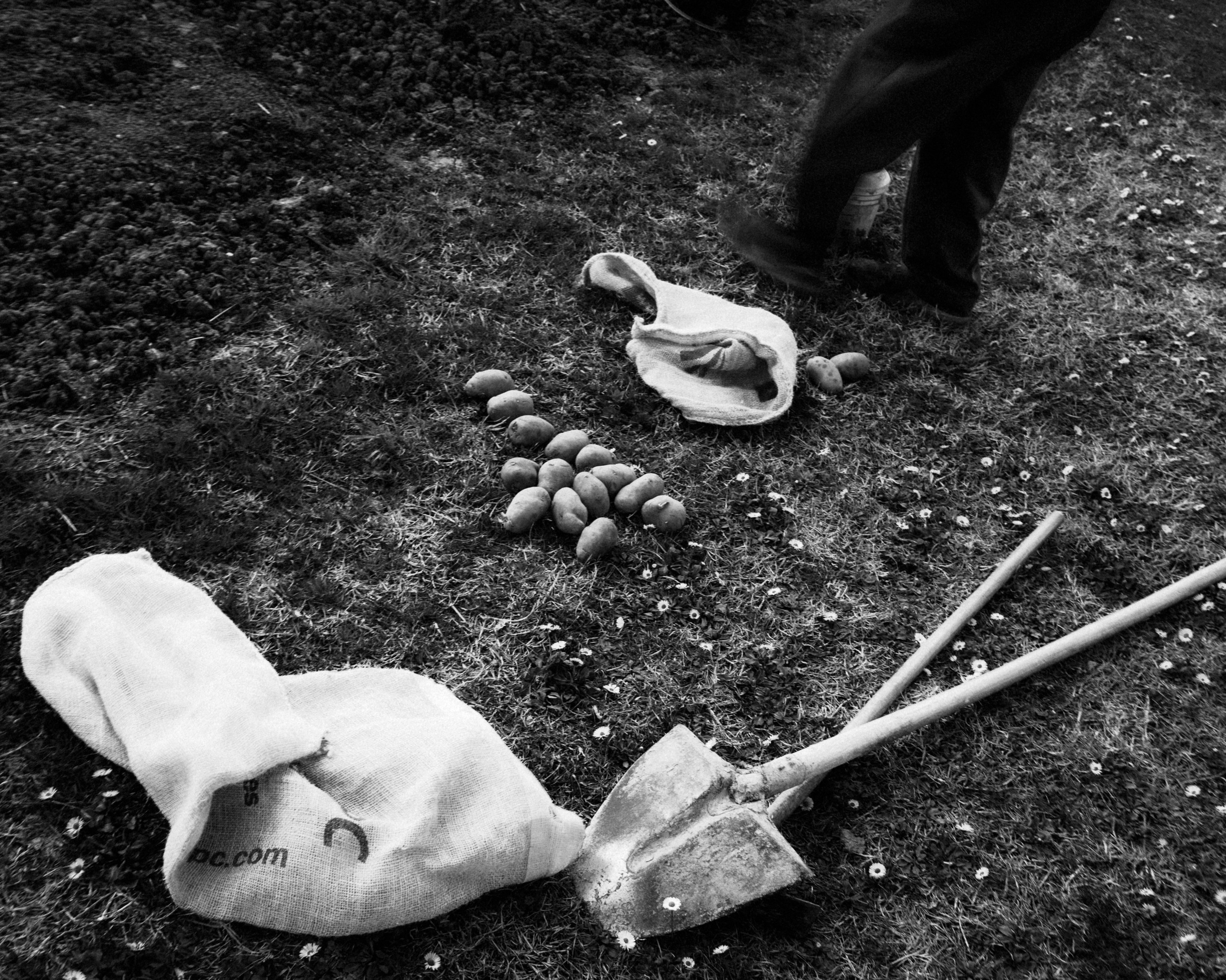 Fine Art. W LAB 192 | Davide Vichi