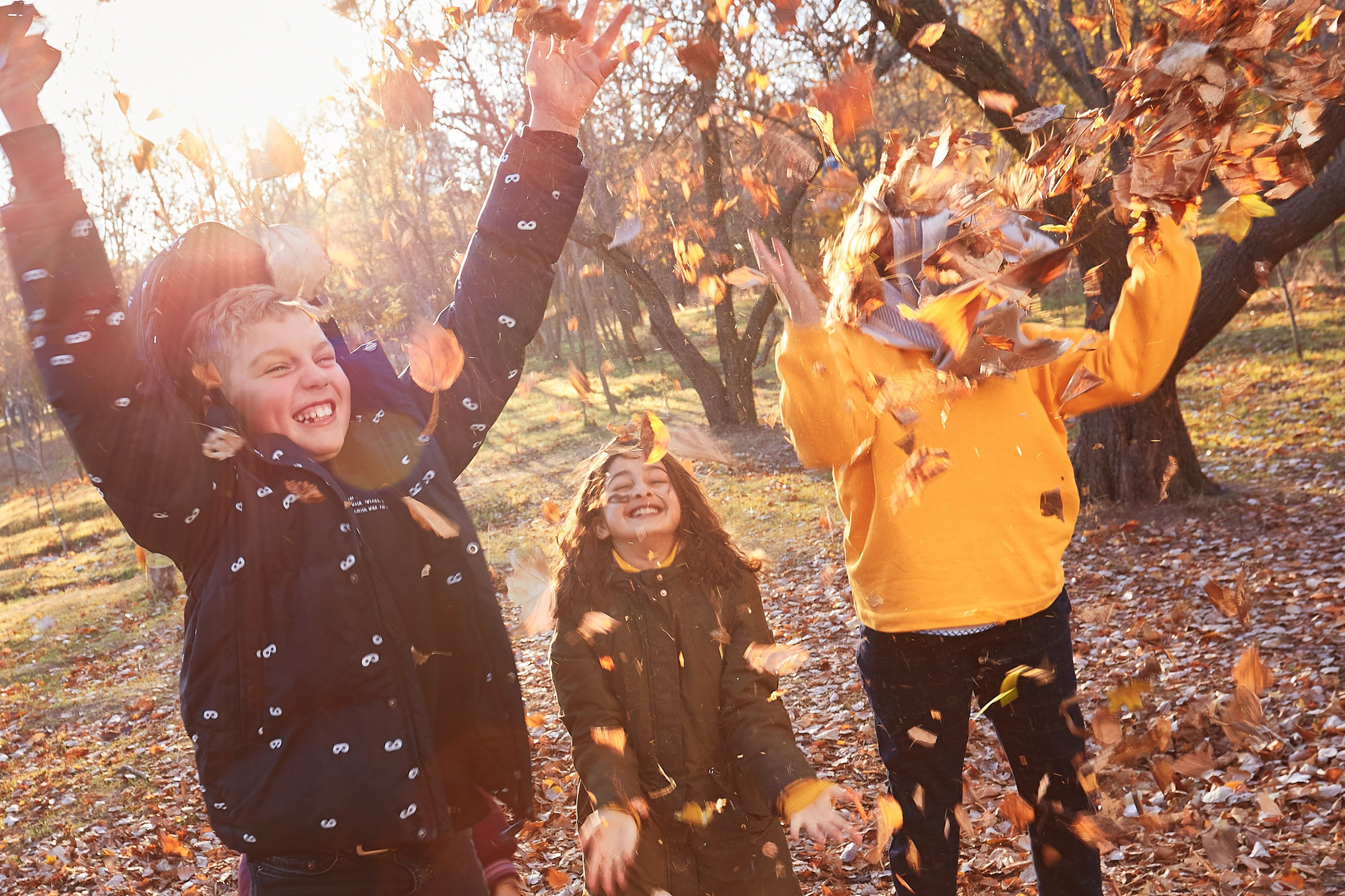 Выпуской альбом Одесса. Стоимость. Цена