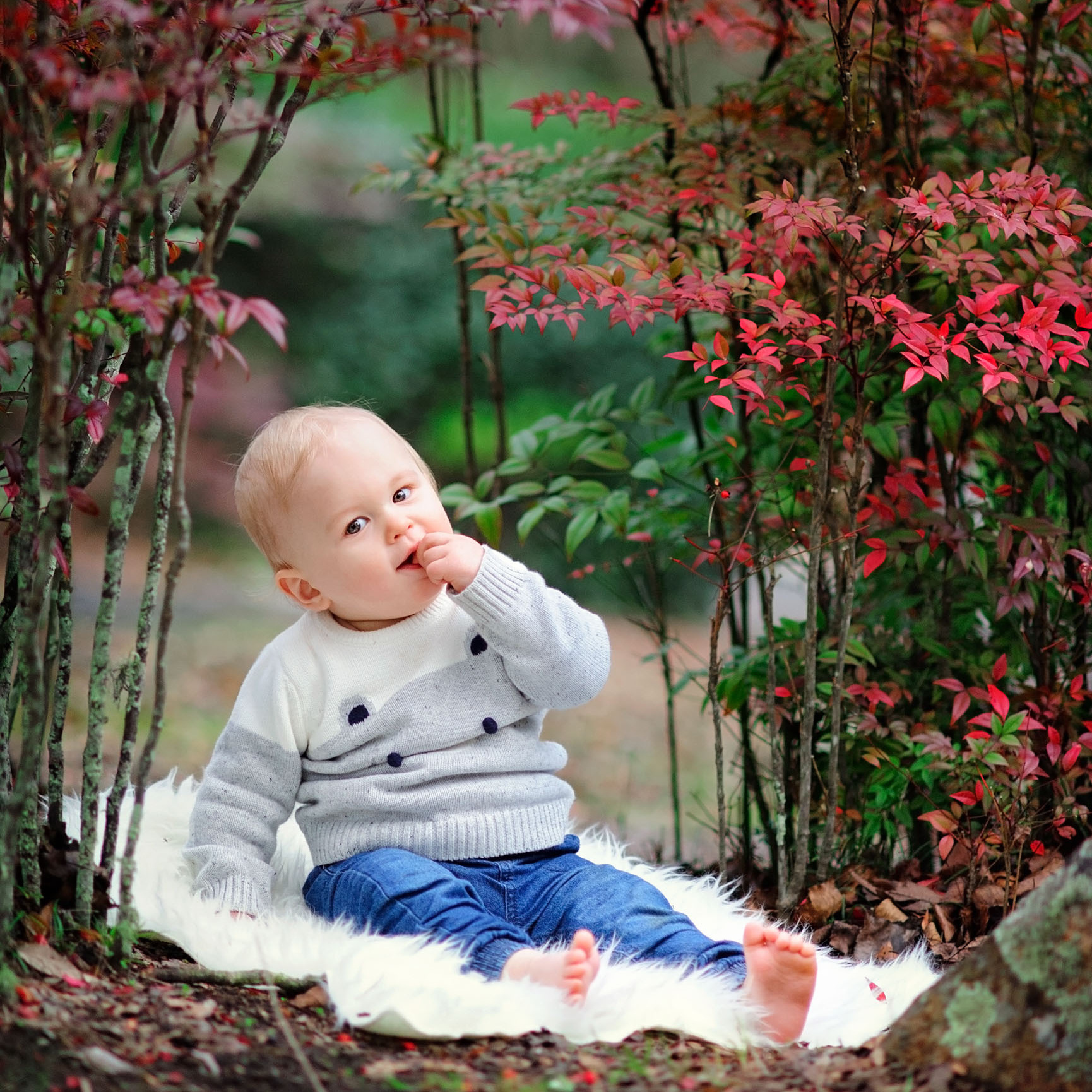 Family and Kids Photography in Sydney, the best locations outdoor by top photographer