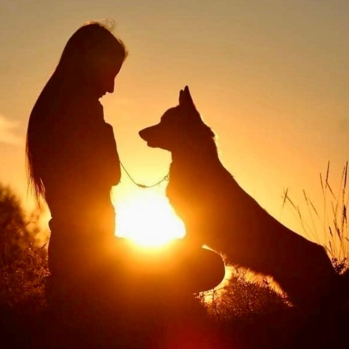 Анімалістика. Репортажний фотограф/анімаліст КИЇВ