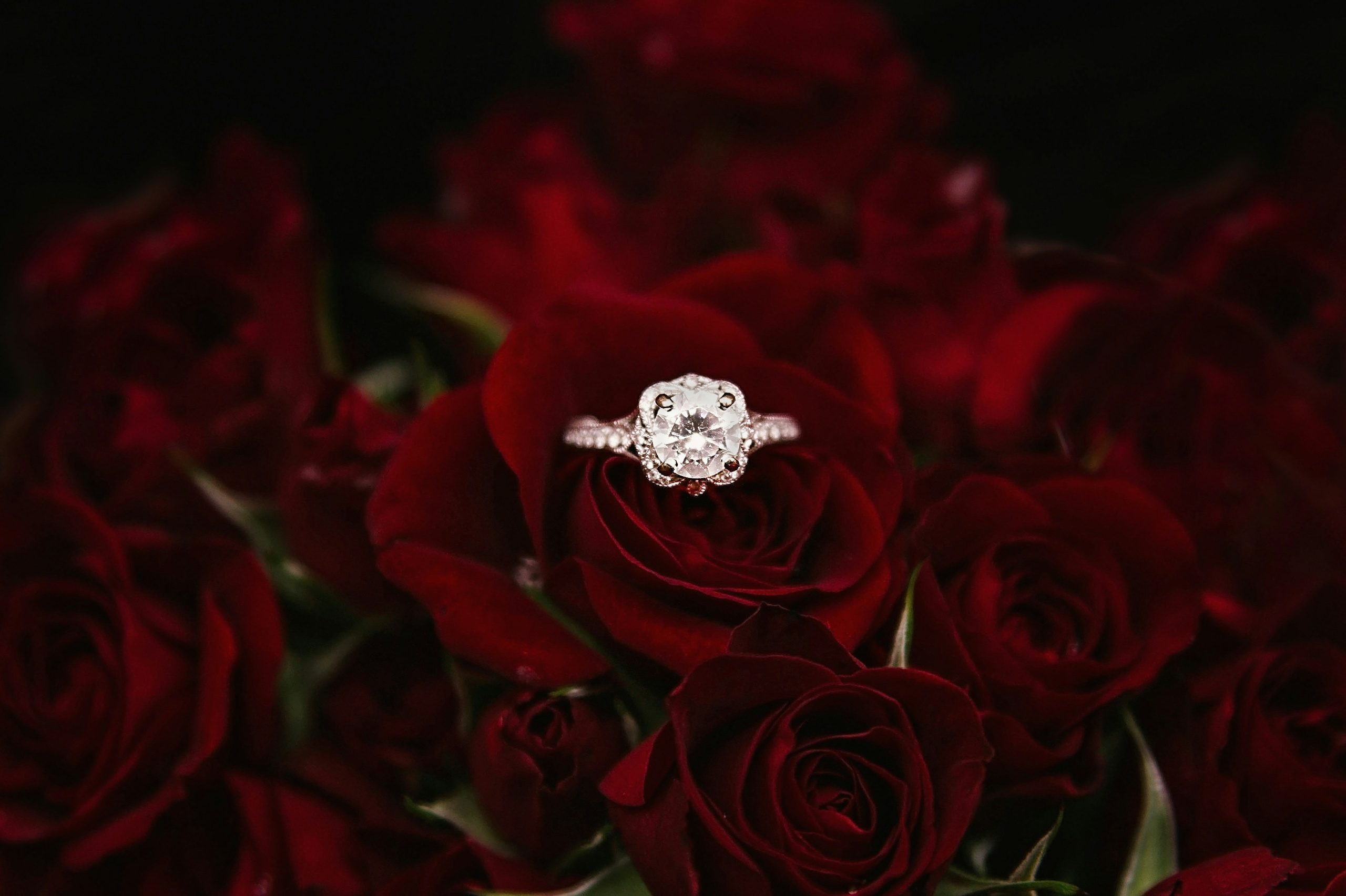 Roman Proposal Picture Perfect. Elizaveta Razumova: Cinematic Photography for Love, Weddings, Portraits & Brands