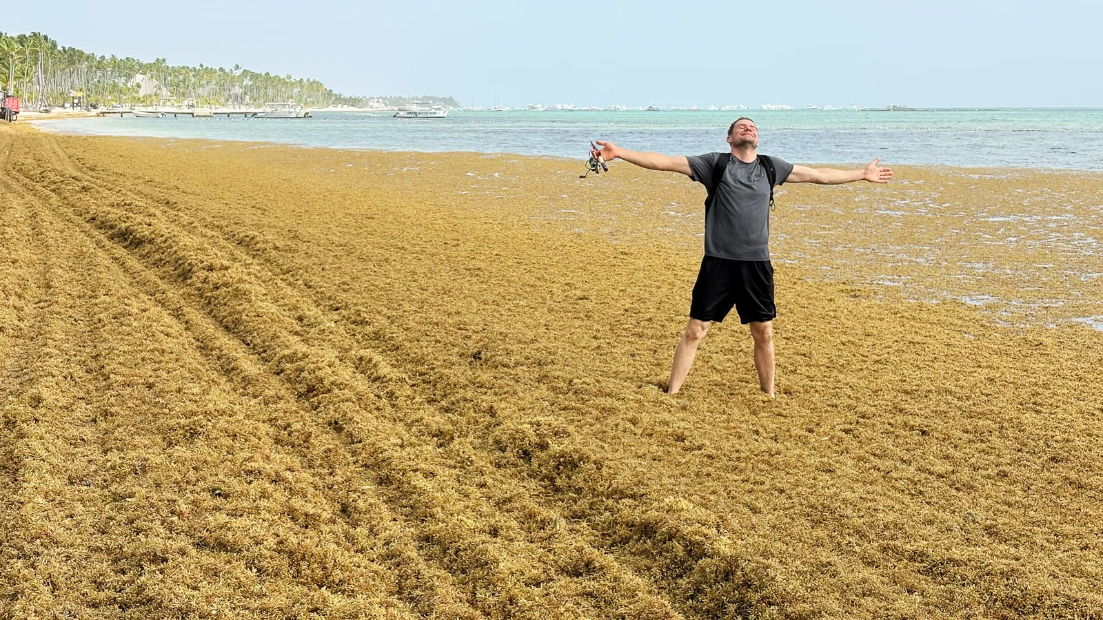 Sargassum seaweed in Punta Cana and Bavaro. Fotógrafo em Punta Cana — Alex Po