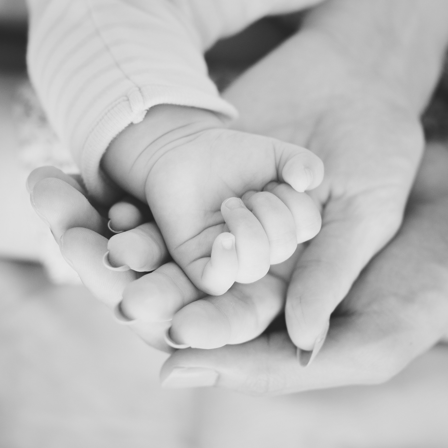 Pachete. Fotografie de familie