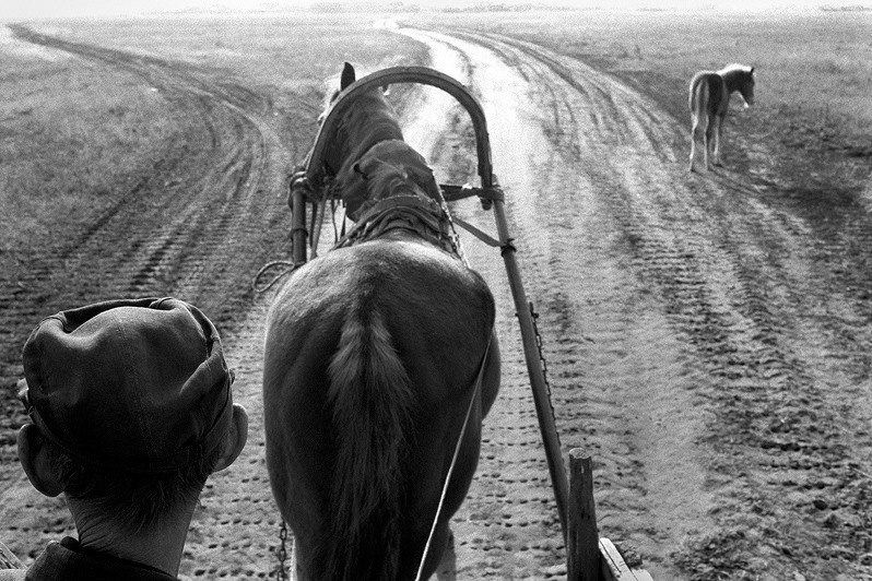 «Миша Масленников, фотографирующий степь». Миша Масленников. Документальная фотография. Одесса