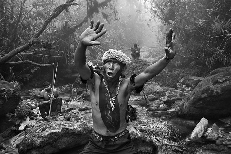 © Carola Allemandi / Amazonia Salgado