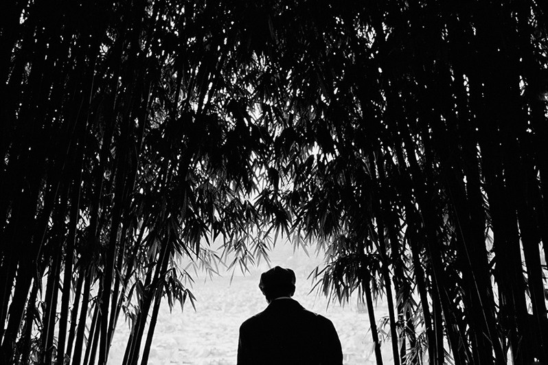 © Павлос Козалидис / Китай: Дом бабочек