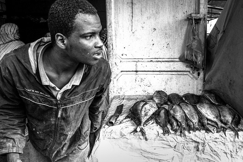 © Nadezhda Khramova / Train through the Sahara