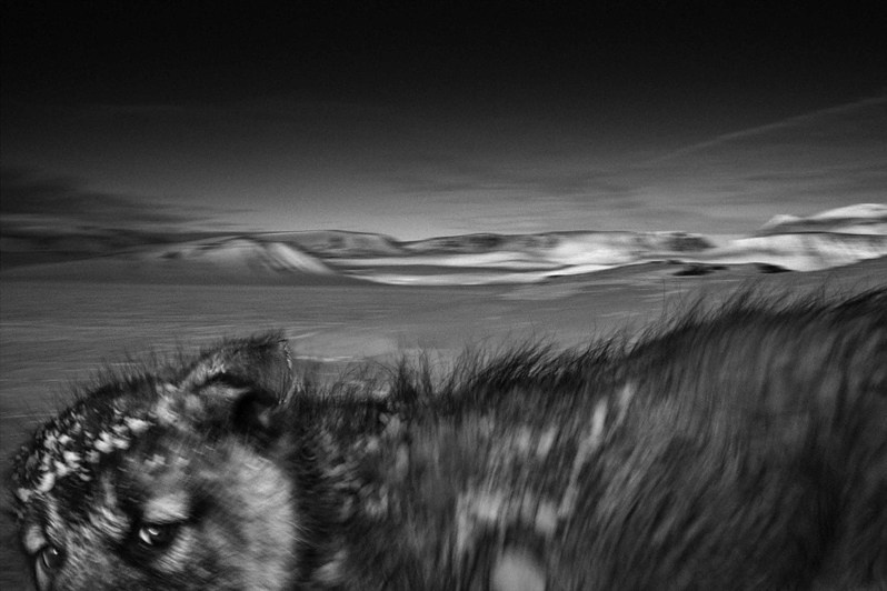 © Carola Allemandi / Amazonia Salgado