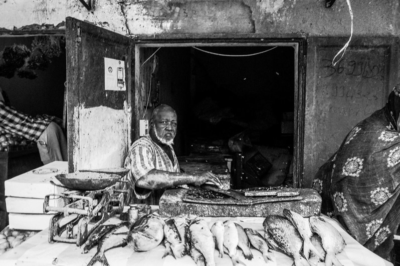 © Nadezhda Khramova / Train through the Sahara