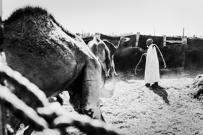 © Nadezhda Khramova / Train through the Sahara