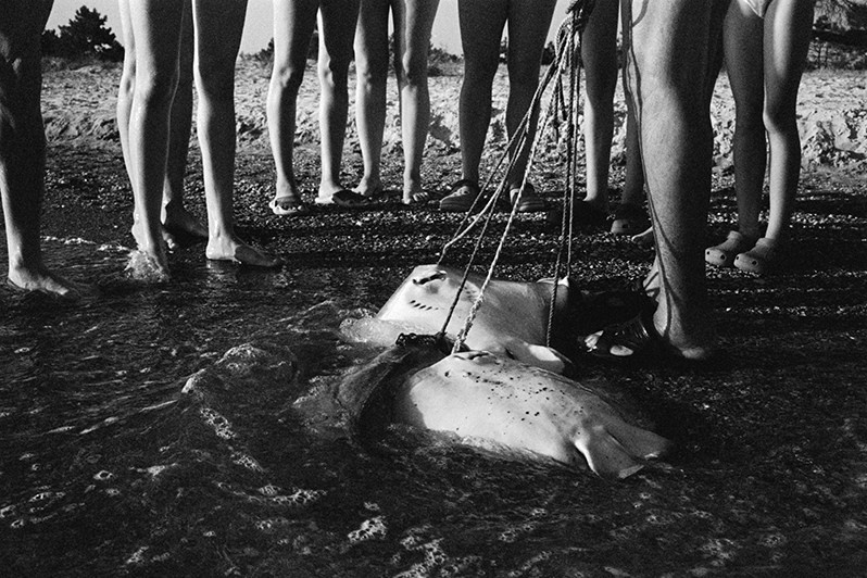 © Viktor Ratushny / Kinburn Spit. Mykolaiv region, Ukraine. August 2017