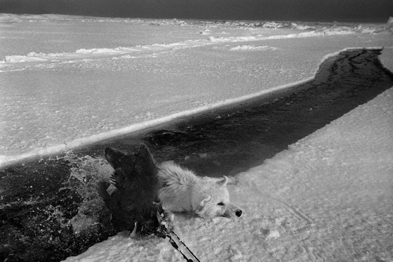 © Carola Allemandi / Amazonia Salgado
