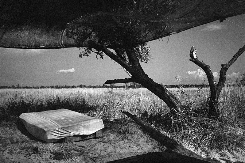 © Viktor Ratushny / Kinburn Spit. Mykolaiv region, Ukraine. August 2017