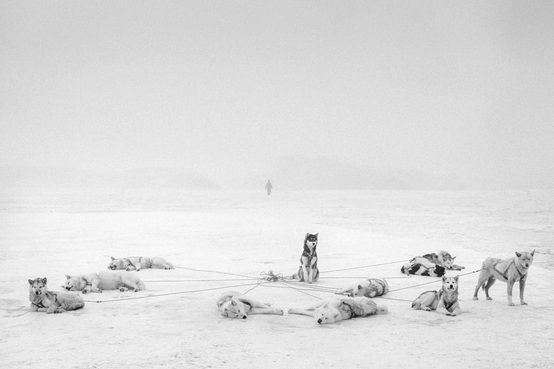 © Carola Allemandi / Amazonia Salgado