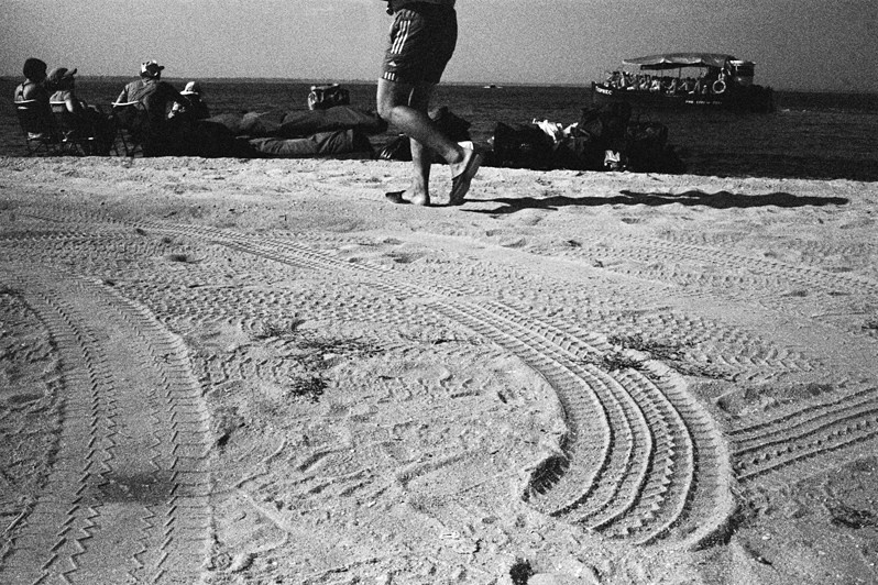 © Viktor Ratushny / Kinburn Spit. Mykolaiv region, Ukraine. August 2017