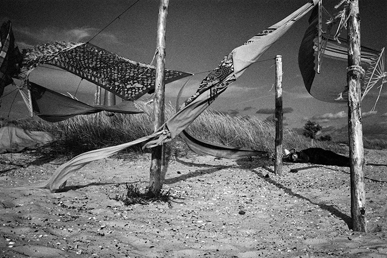 © Viktor Ratushny / Kinburn Spit. Mykolaiv region, Ukraine. August 2017