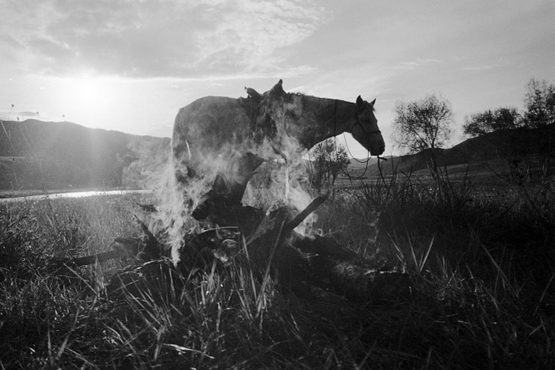 © Przemek Strzelecki / Mongolia Part 2