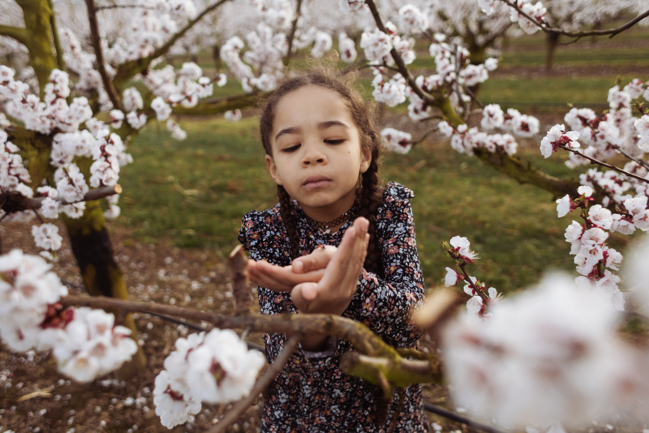 Familien fotoshooting