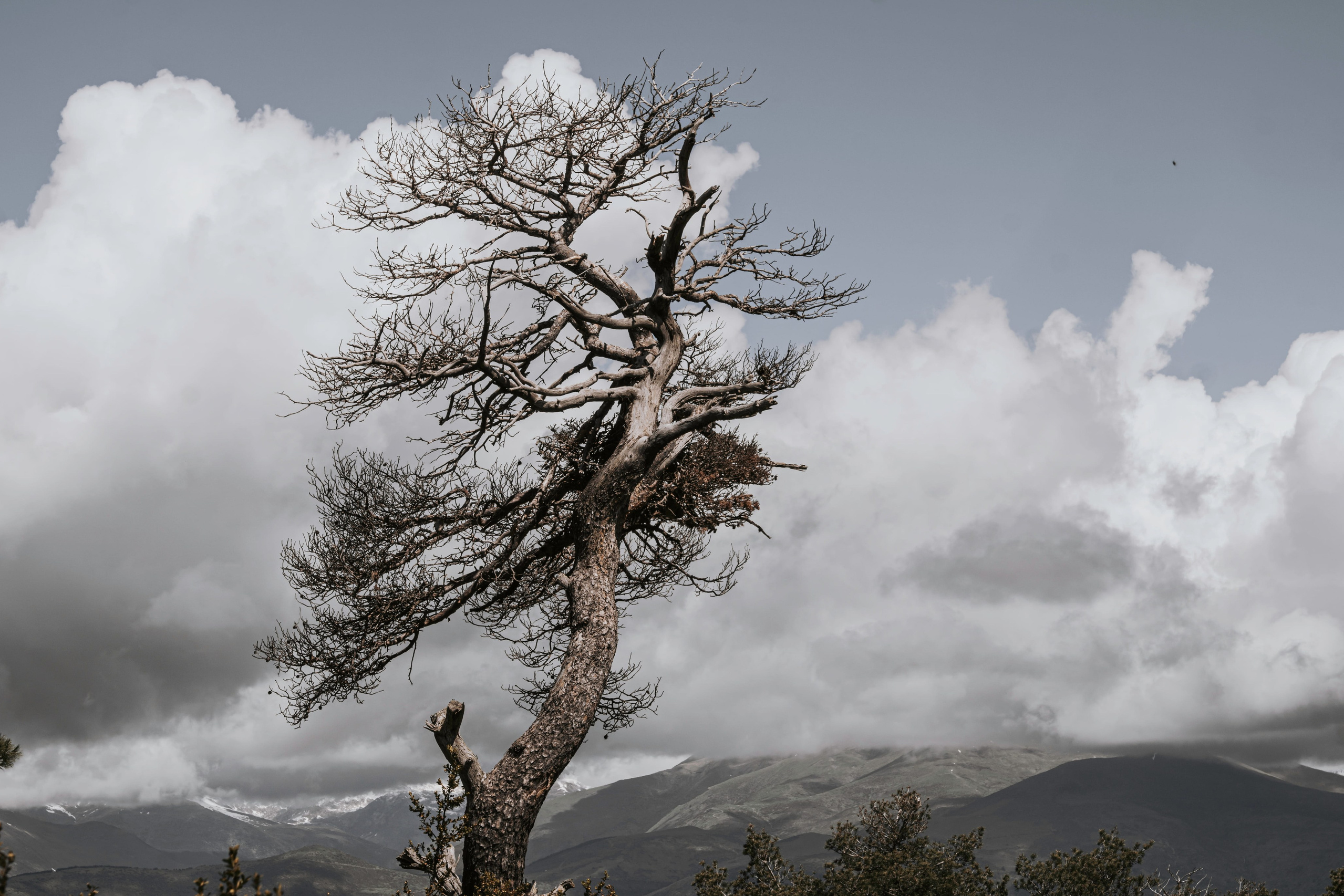Galería de fotografía | Paisajes, viajes y vida | Alba del Norte