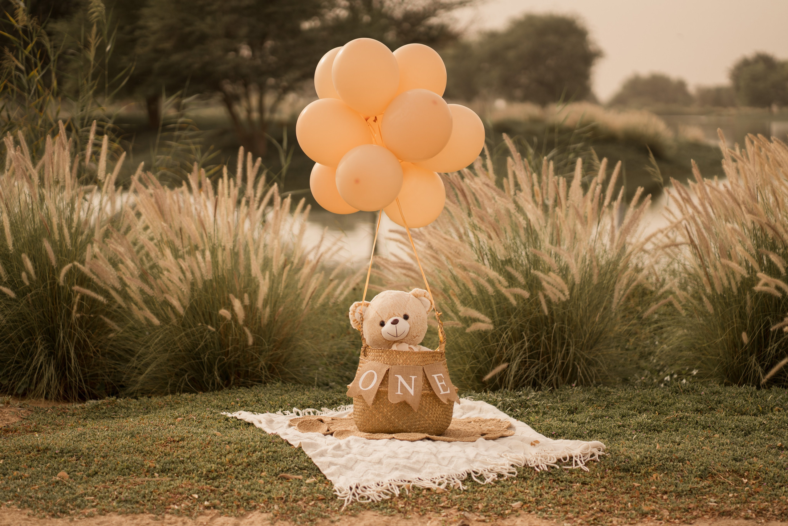 Services. Angela Iakovleva — Family Photographer in Dubai