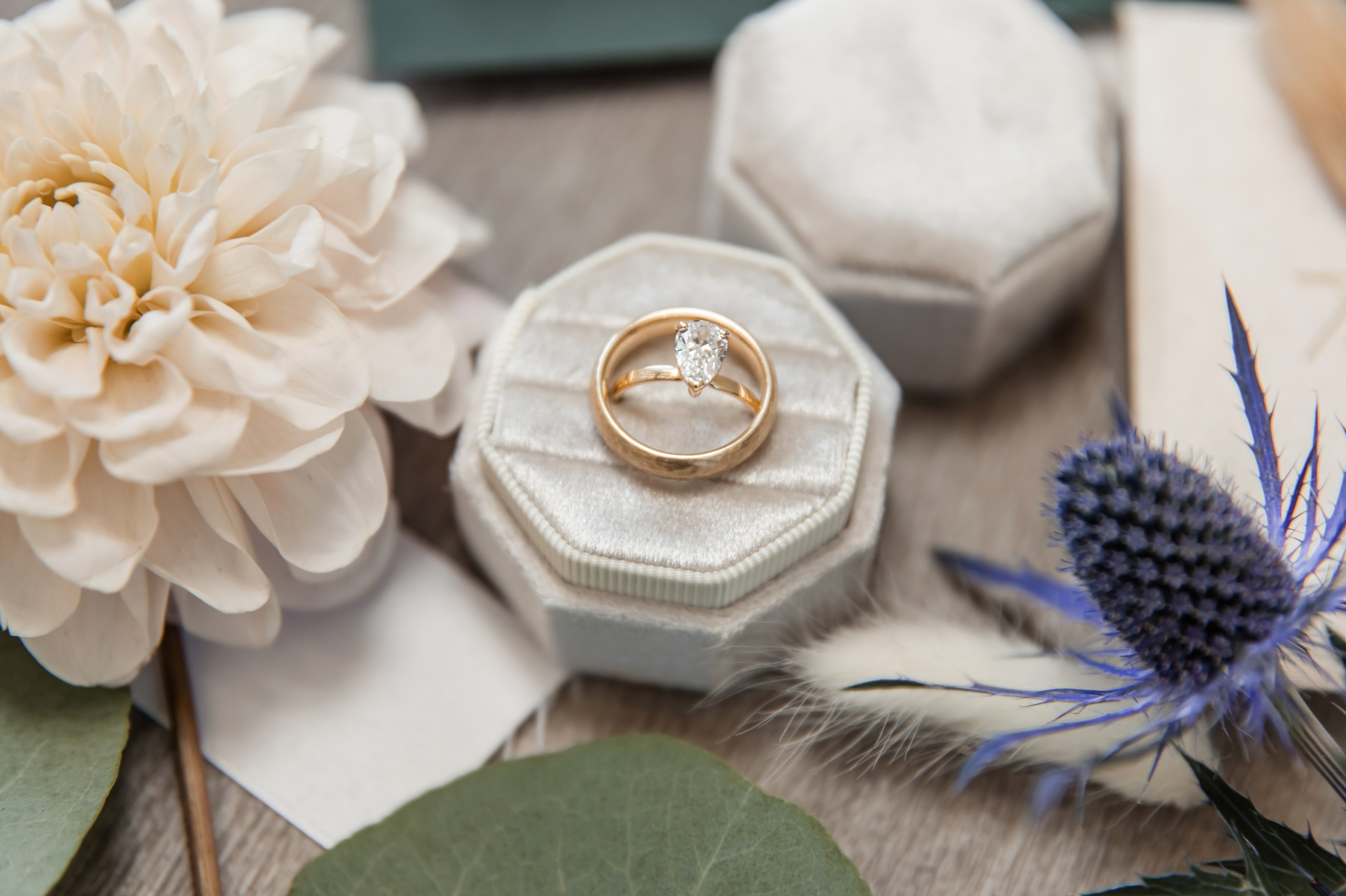 Investment. Wedding photographer Utah. Weddings, Families, Portraits