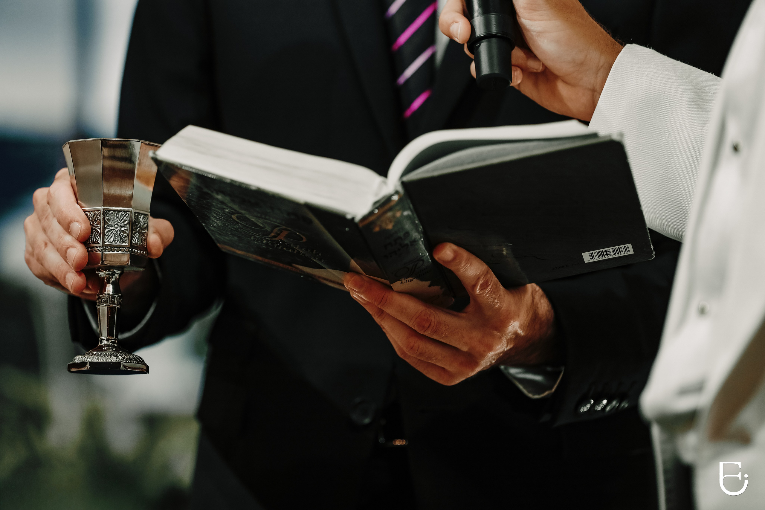 CAMELLIA ART PHOTOGRAPHY