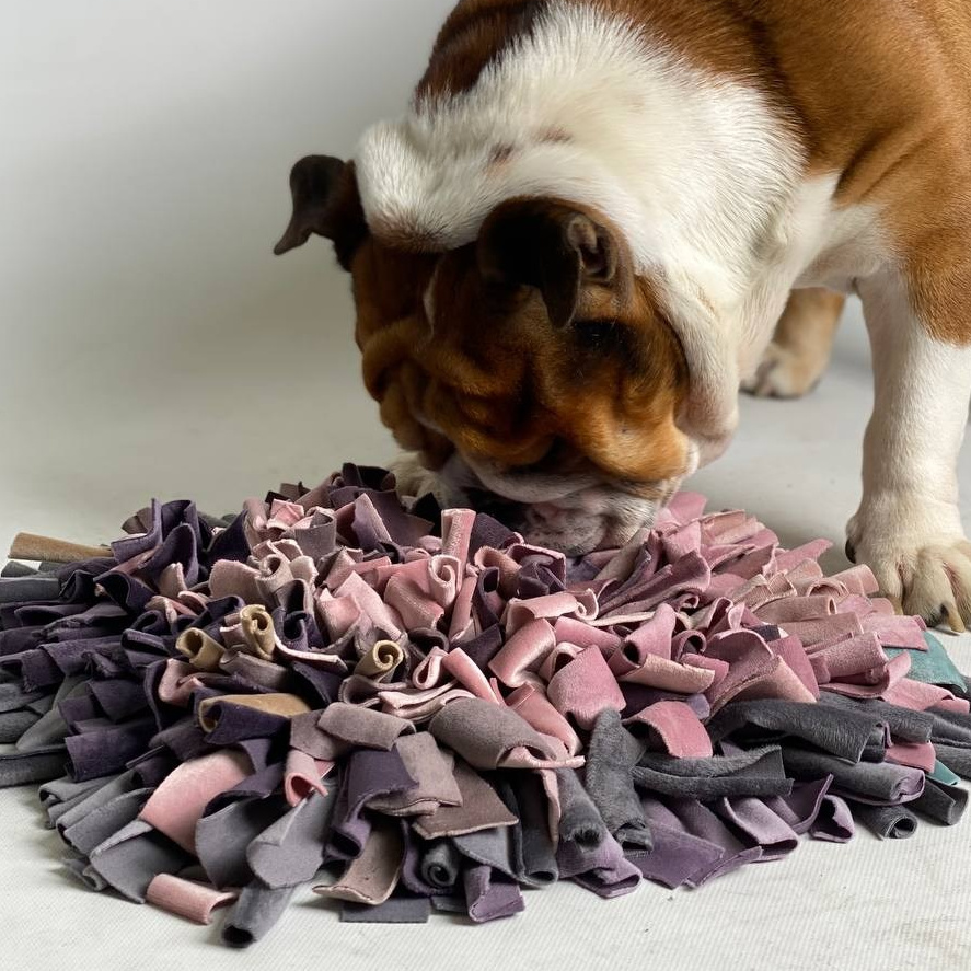 Подарунки. Фотограф-анімаліст Київ