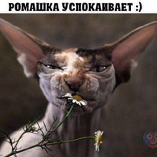 Отзывы. Фотограф в Турции Сиде Елена Туран