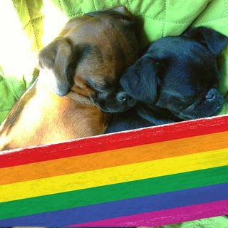 Atsauksmes. Fotogrāfs Romualds Rubenis un Artemijs Stašāns