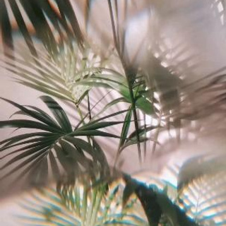 FEEDBACK. Art Photographer