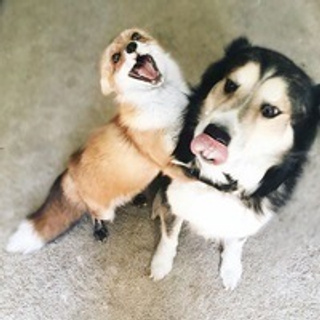 Cappadocia photographer reviews. Julia Ganch I Fashion Wedding Photography I Cappadocia Turkey