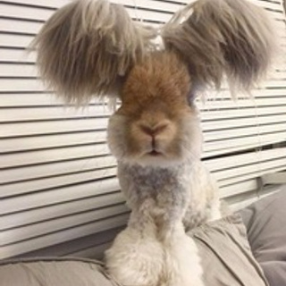 Cappadocia photographer reviews. Julia Ganch I Fashion Wedding Photography I Cappadocia Turkey