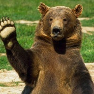 Отзывы. Свадебный Фотограф В Тбилиси, Батуми, Сигнахи, Мцхете, Гудаури и Казбе