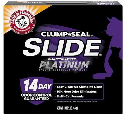 QUESTIONS AND ANSWERS. Devon Rex Pixie Cattery