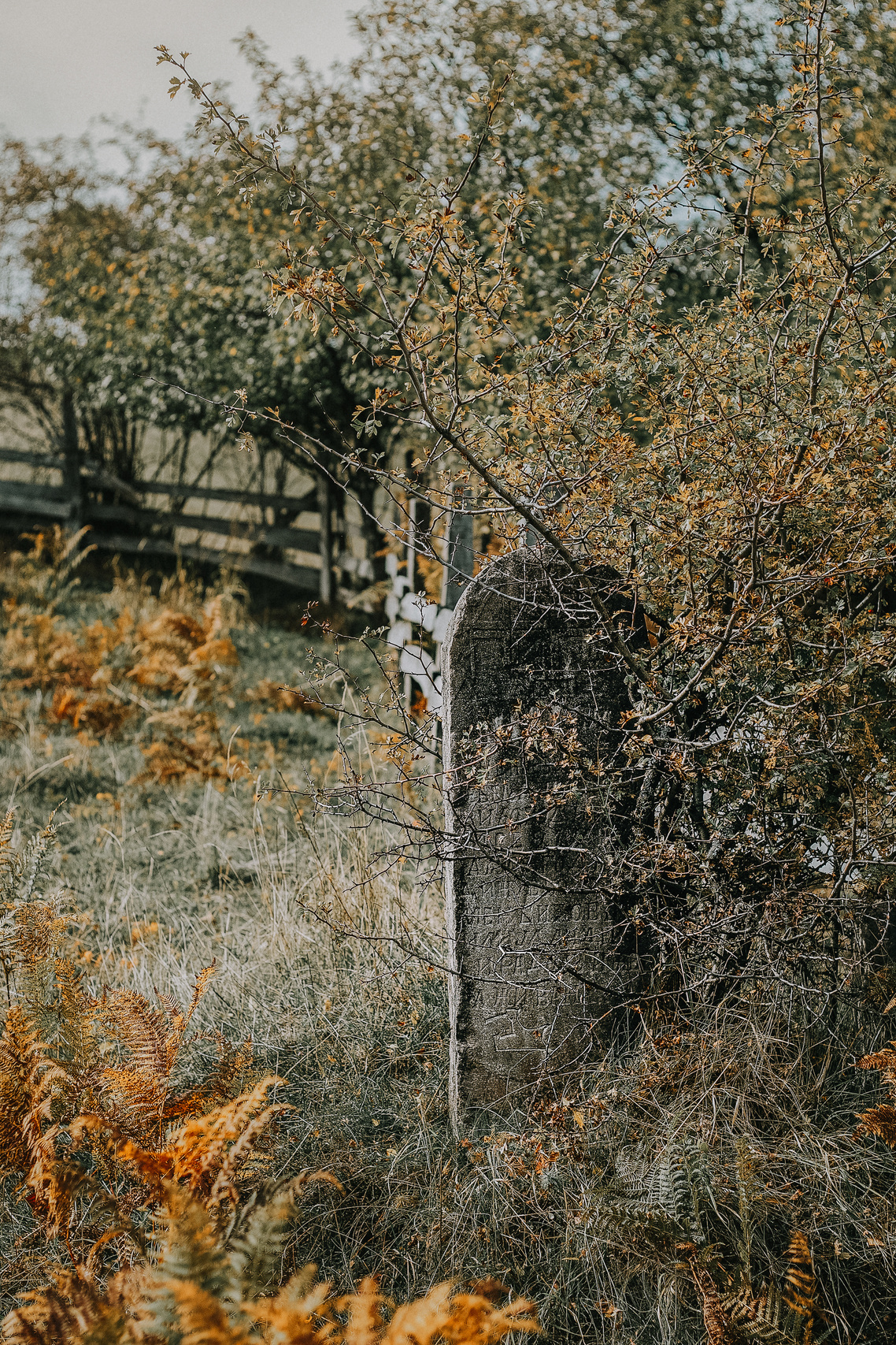 Searching for my Roots. Mark Smilyanic | Portrait and Adventure Photographer from Belgrade
